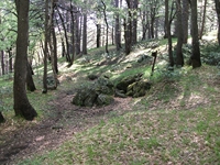 otta delle Femmine27052012 075